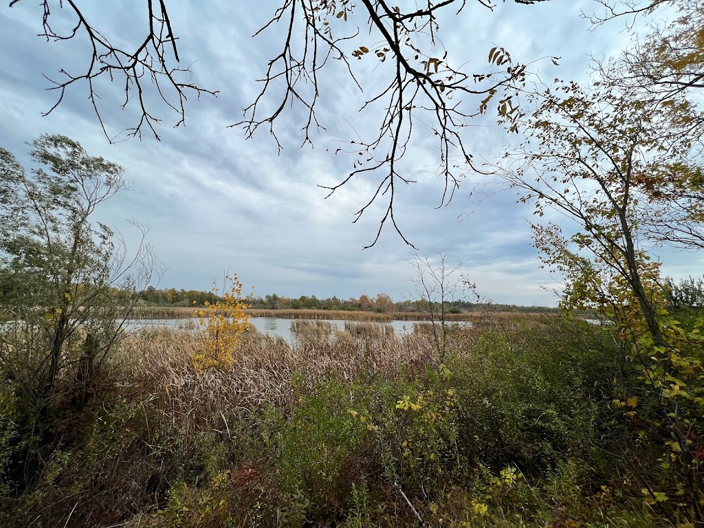 Mud Lake Conservation Area | 3031 Elm St, Port Colborne, ON L3B 5K7, Canada | Phone: (905) 788-3135