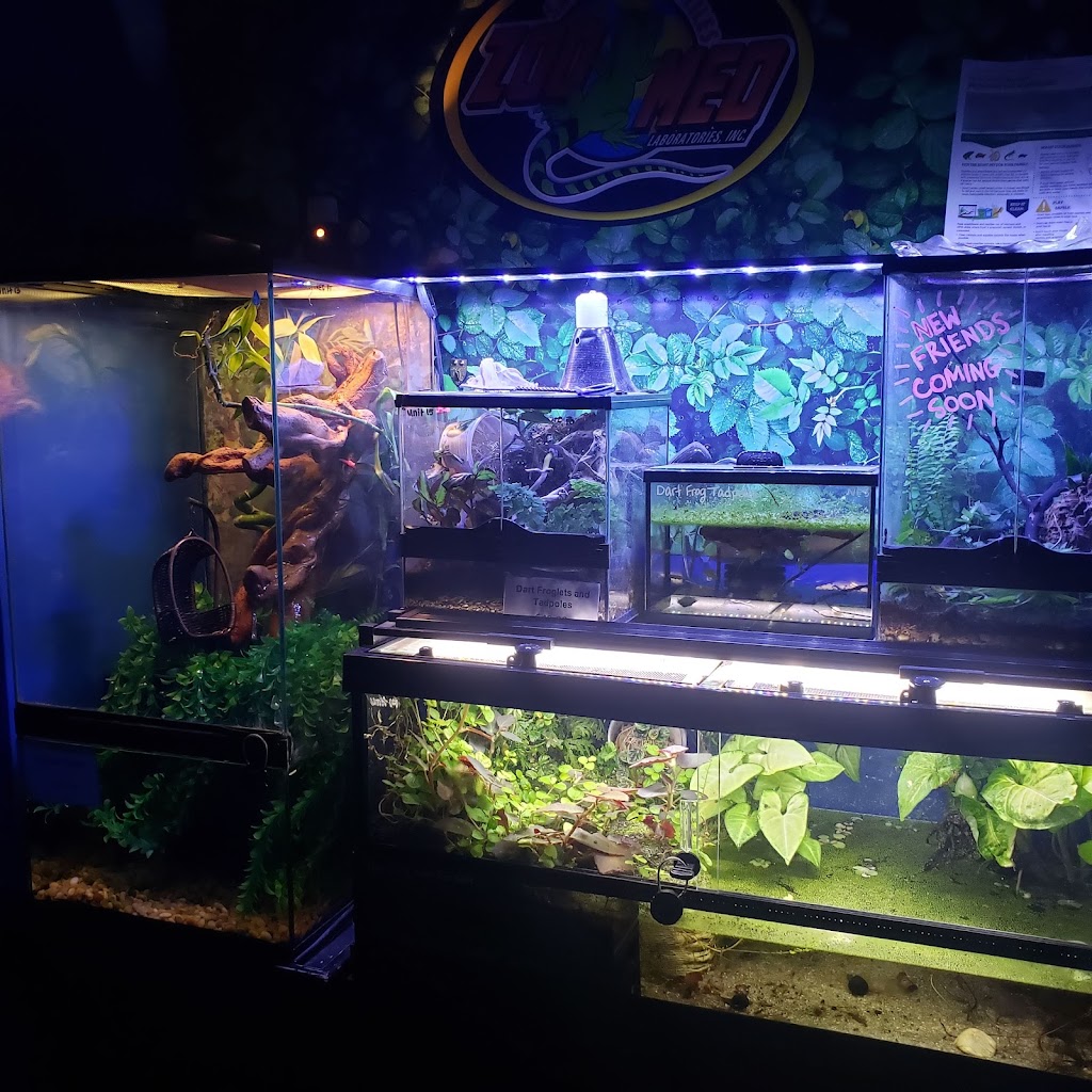 Petland Bolingbrook | The Promenade at Bolingbrook, Petland 744 E Boughton Rd, Bolingbrook, IL 60440, USA | Phone: (630) 739-1213