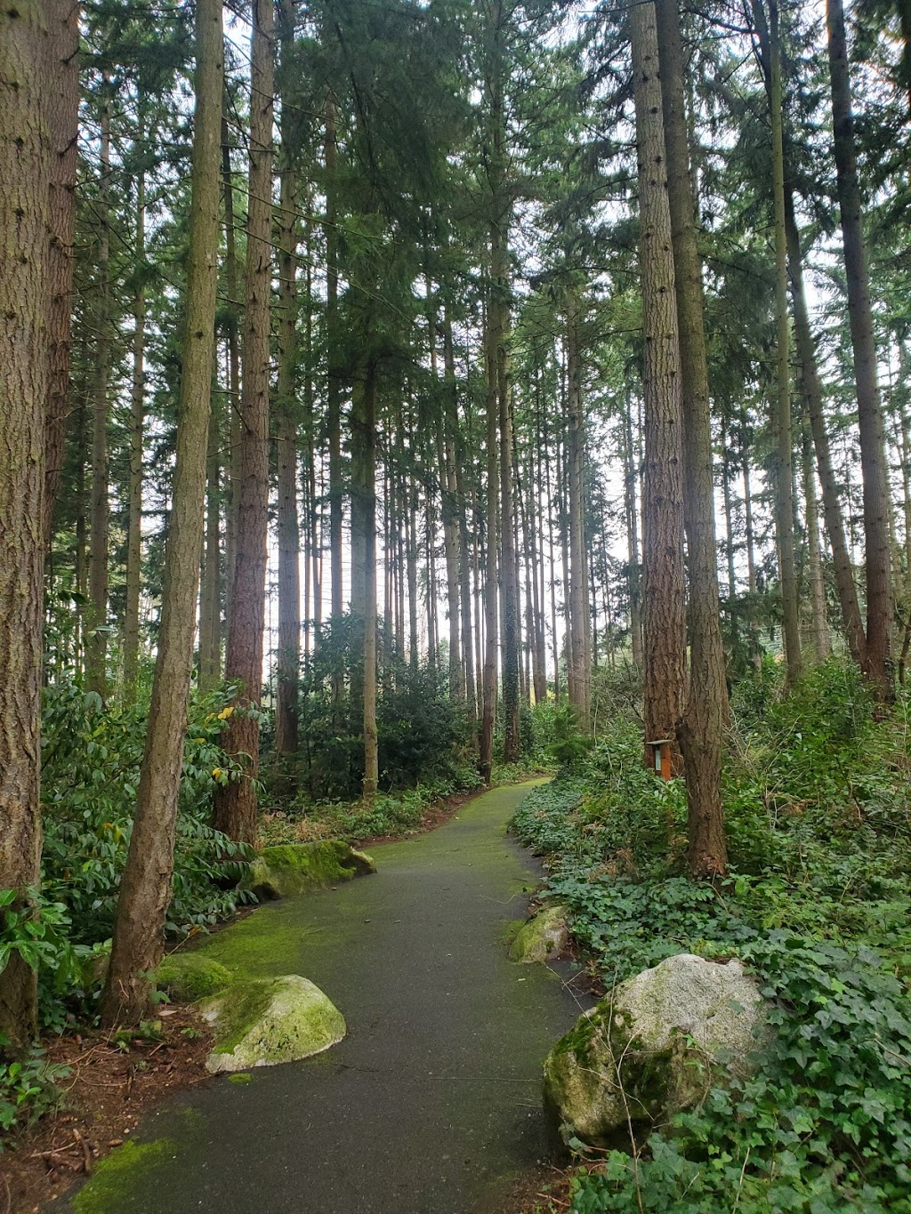 North City Park | 19201 10th Ave NE, Shoreline, WA 98155, USA | Phone: (206) 801-2700