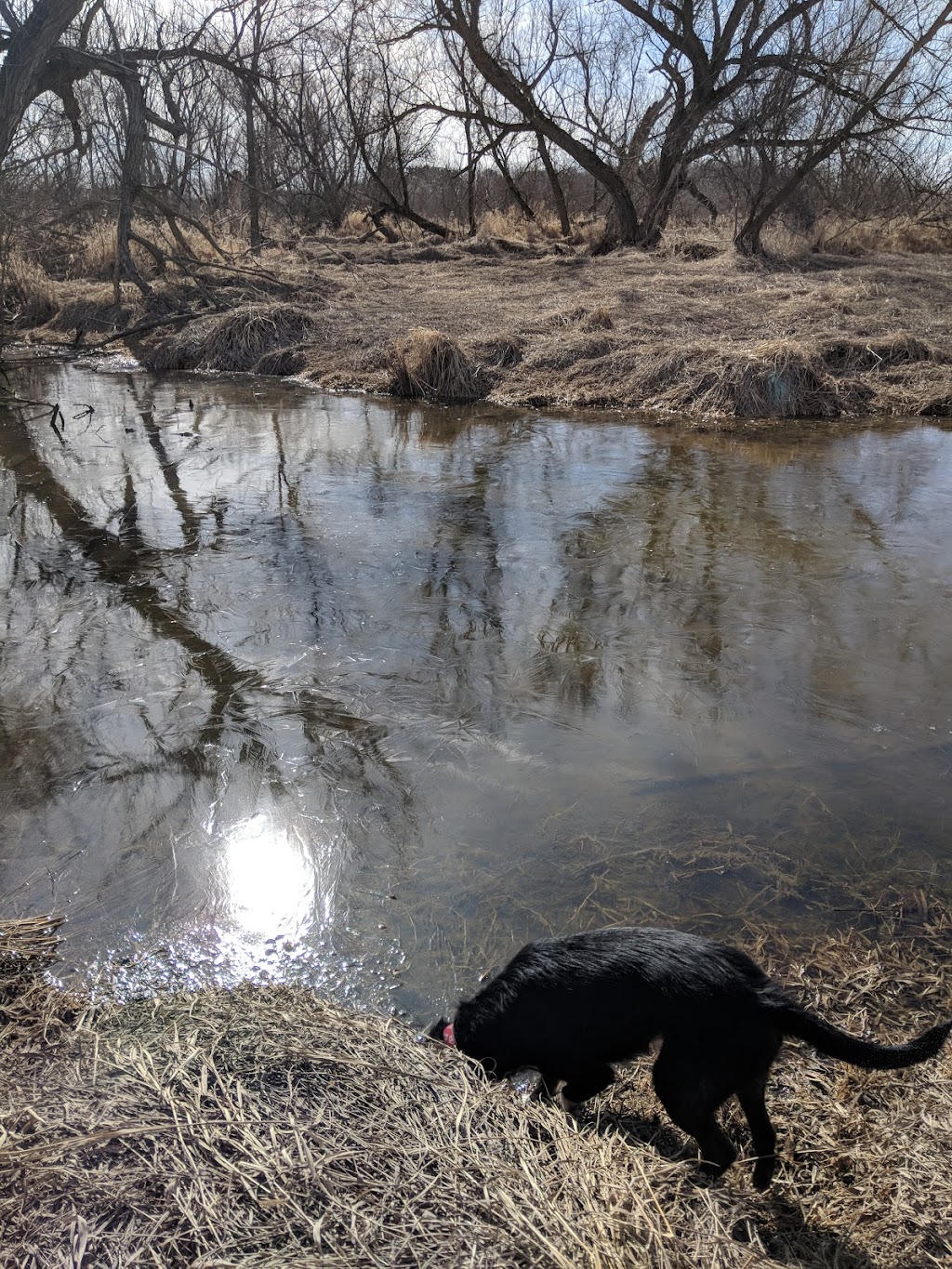 Cherokee Marsh State Fishery Area | Madison, WI 53704, USA | Phone: (608) 275-3225