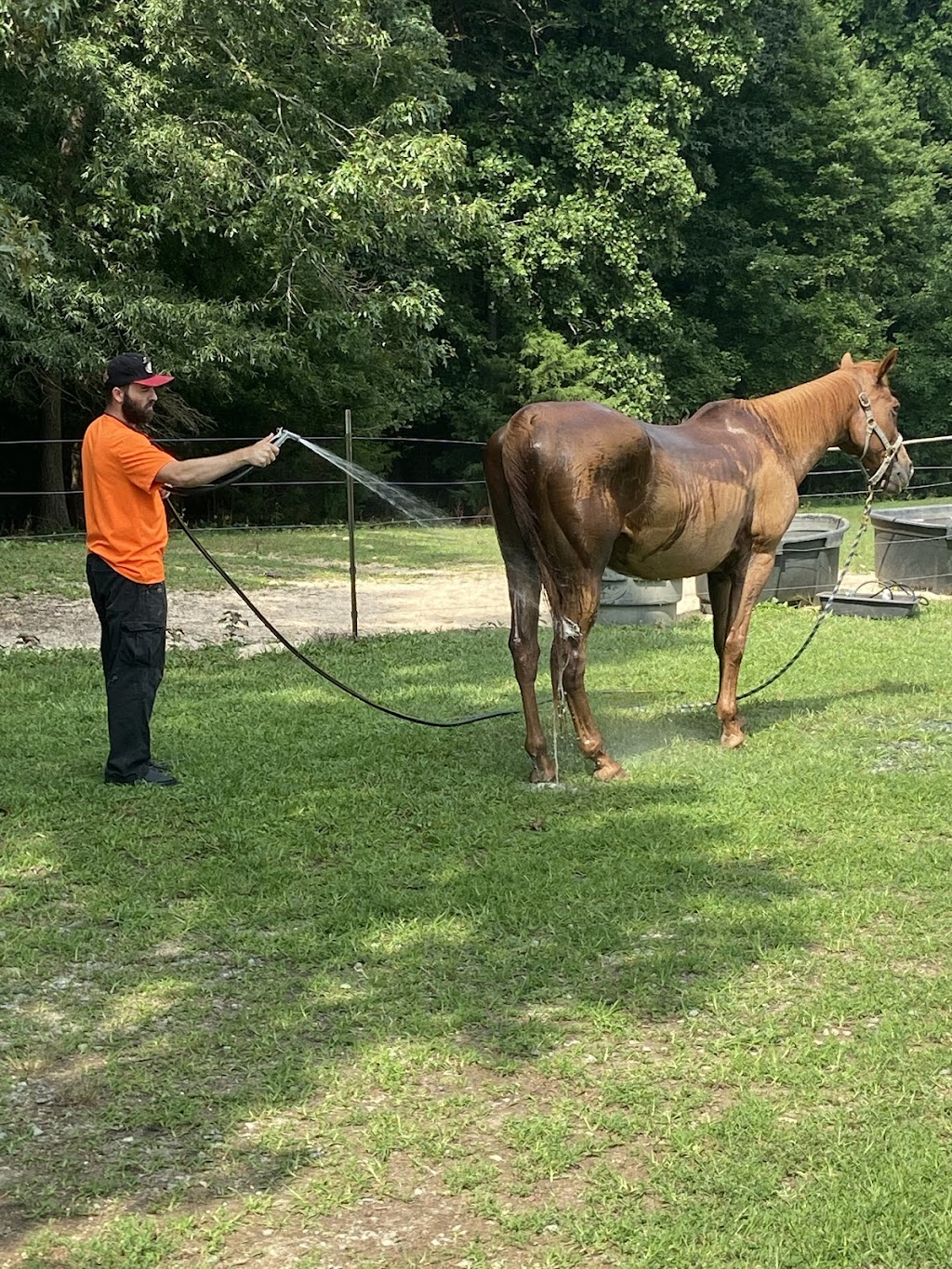 Routh Horse Ranch LLC | 3113 Routh Rd, Franklinville, NC 27248 | Phone: (336) 824-2670