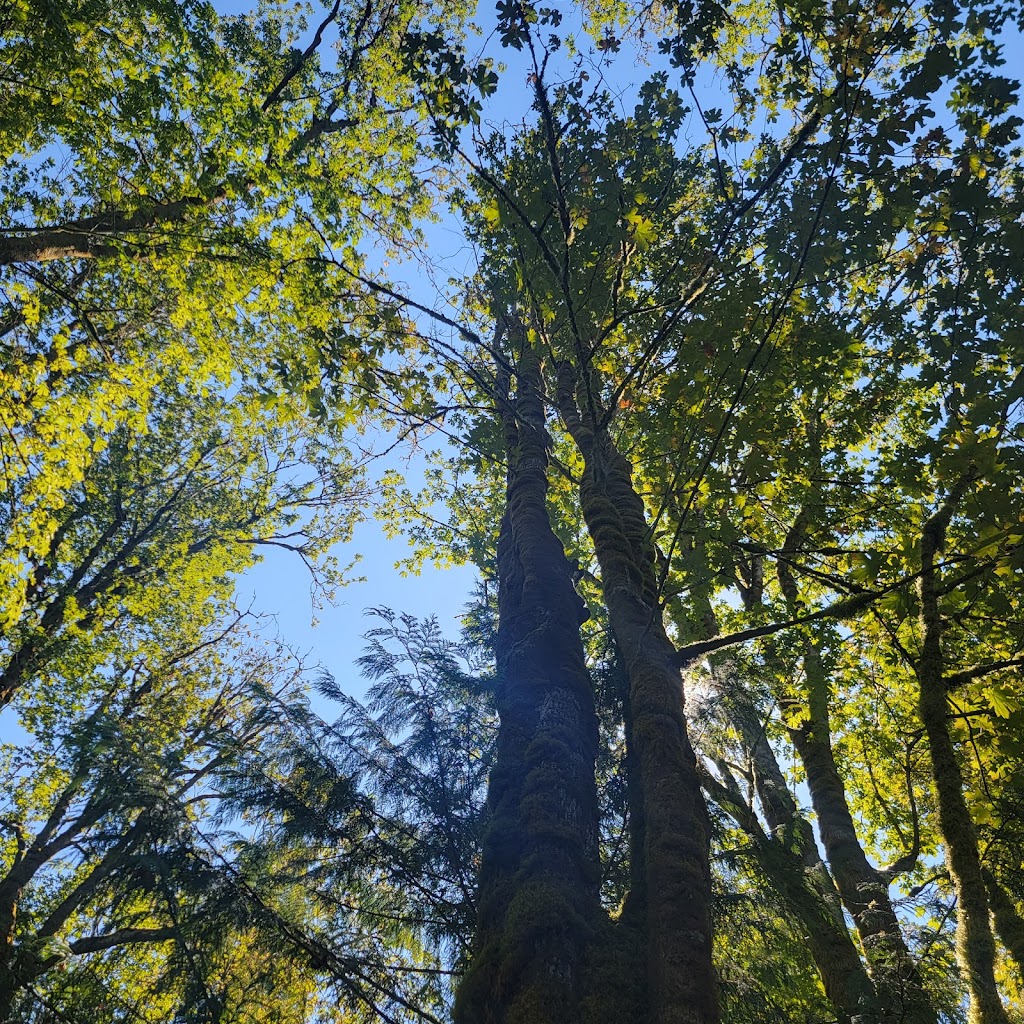 Kopachuck State Park | 10712 56th St NW, Gig Harbor, WA 98335, USA | Phone: (253) 265-3606