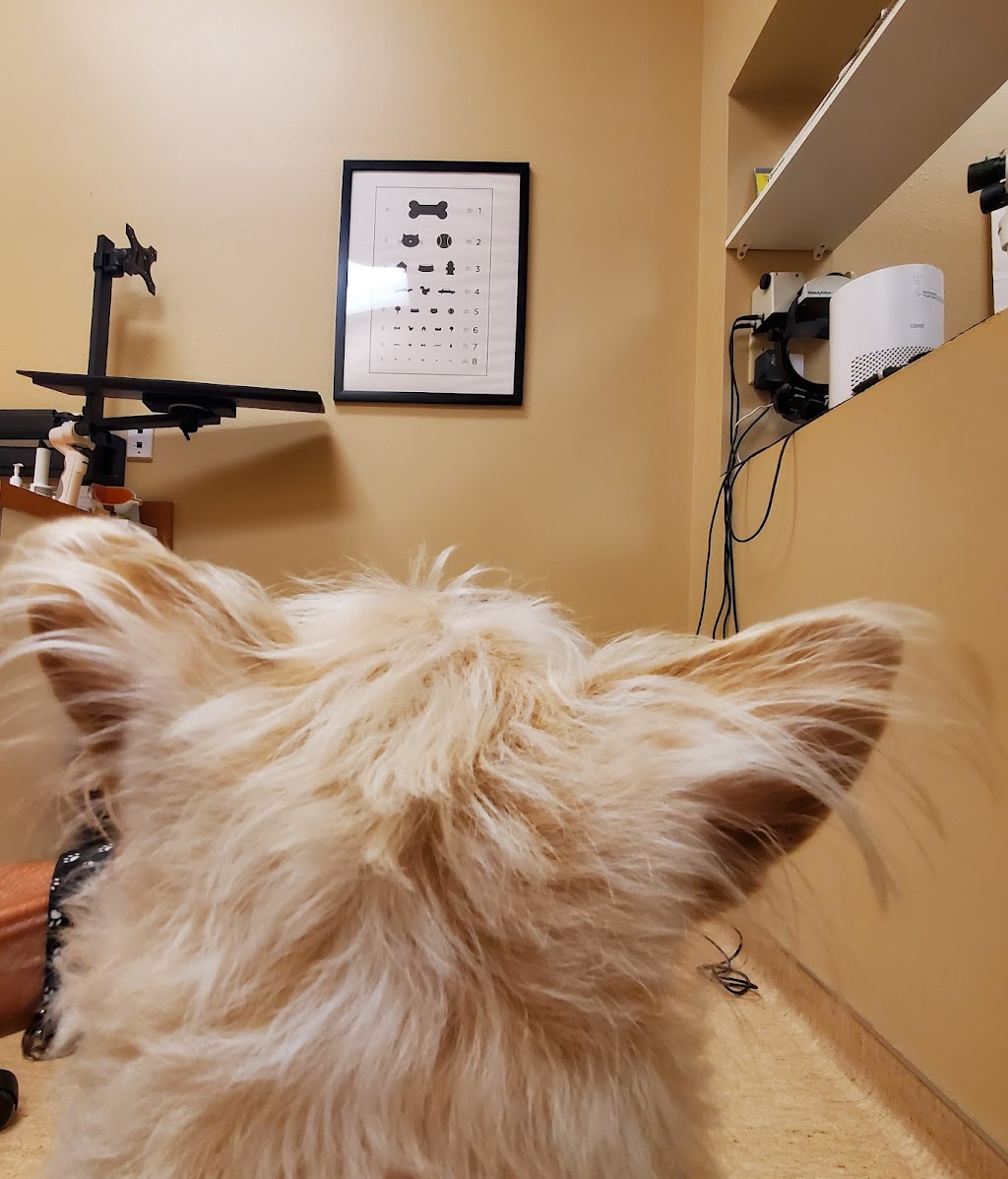 Eye Care for Animals - Tampa | 5406 Hoover Blvd STE 20, Tampa, FL 33634, USA | Phone: (813) 881-9799