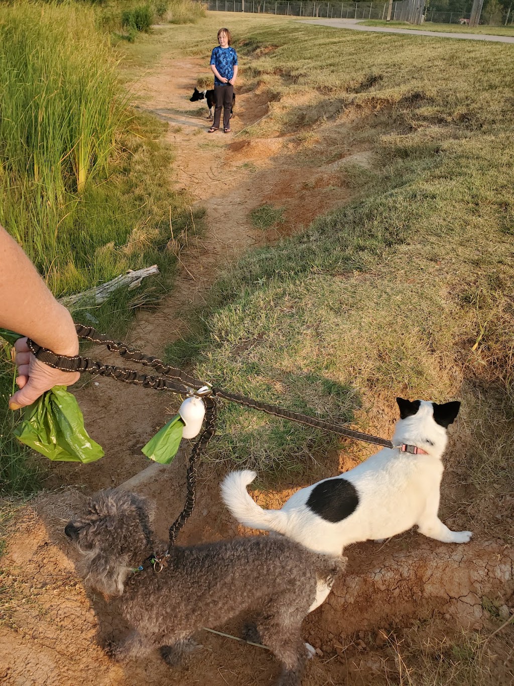 Norman Community Dog Park | 1001 E Robinson St, Norman, OK 73071, USA | Phone: (405) 249-7526