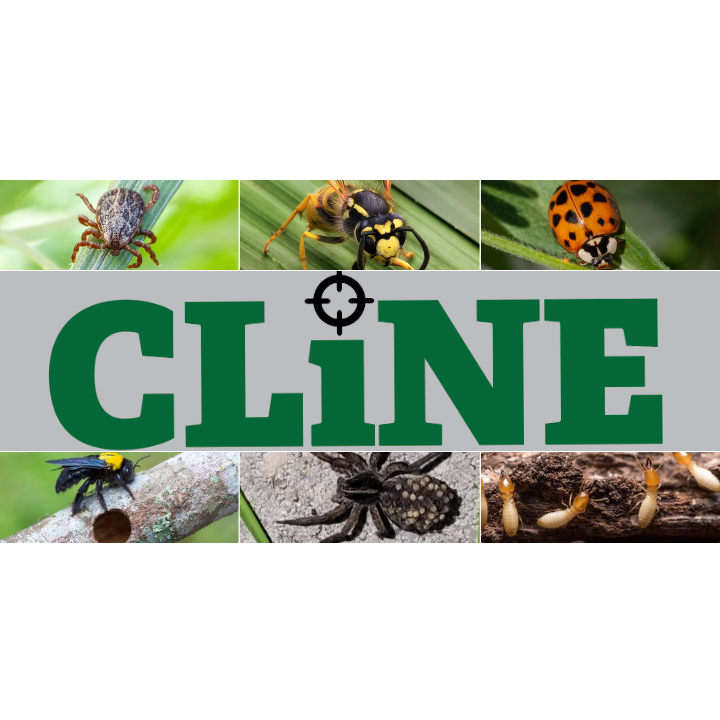 Cline Termite & Pest Control | 440 Rolling Meadows Rd, Waynesburg, PA 15370, USA | Phone: (724) 627-5097