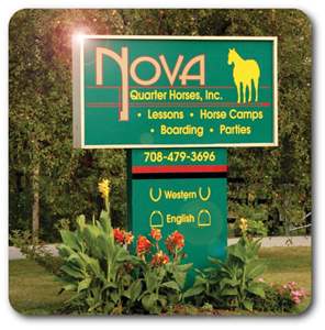 Nova Quarter Horses Inc | 10129 W 187th St, Mokena, IL 60448, USA | Phone: (708) 479-3696