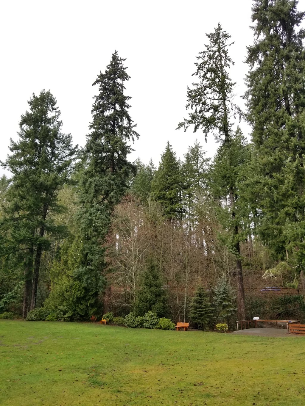 Donkey Creek Park | 8714 N Harborview Dr, Gig Harbor, WA 98332, USA | Phone: (253) 851-8136