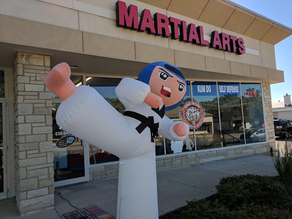 Yong-In USA Martial Arts | 479 Roosevelt Rd, Glen Ellyn, IL 60137, USA | Phone: (630) 545-2401