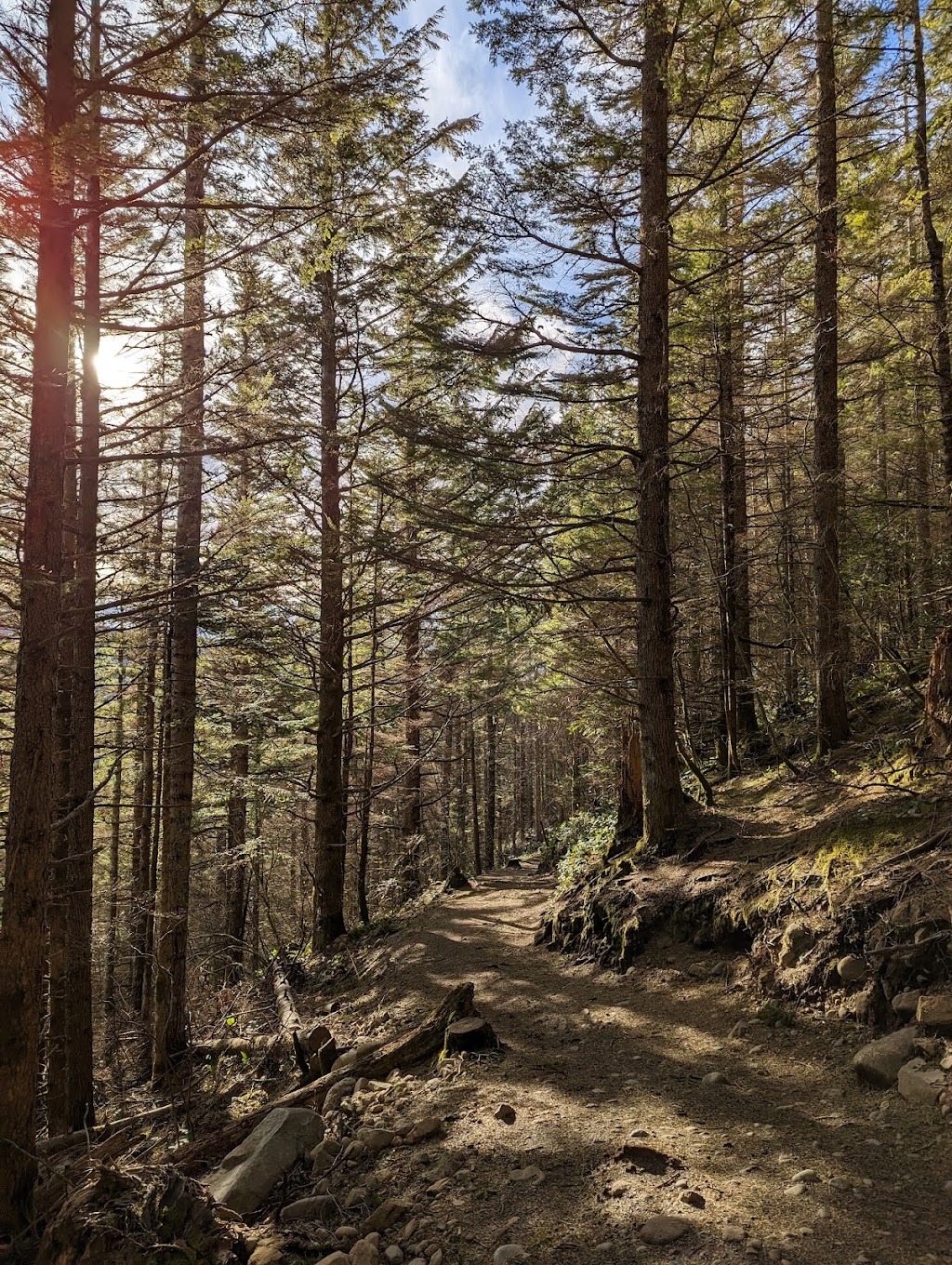 Palouse to Cascades State Park Trail - Cedar Falls Trailhead | North Bend, WA 98045, USA | Phone: (206) 625-1367