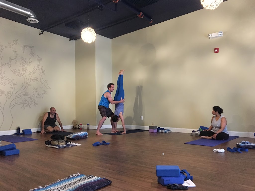 NJ Yoga Teacher Training | 351 Bloomfield Ave, Caldwell, NJ 07006, USA | Phone: (973) 241-5338