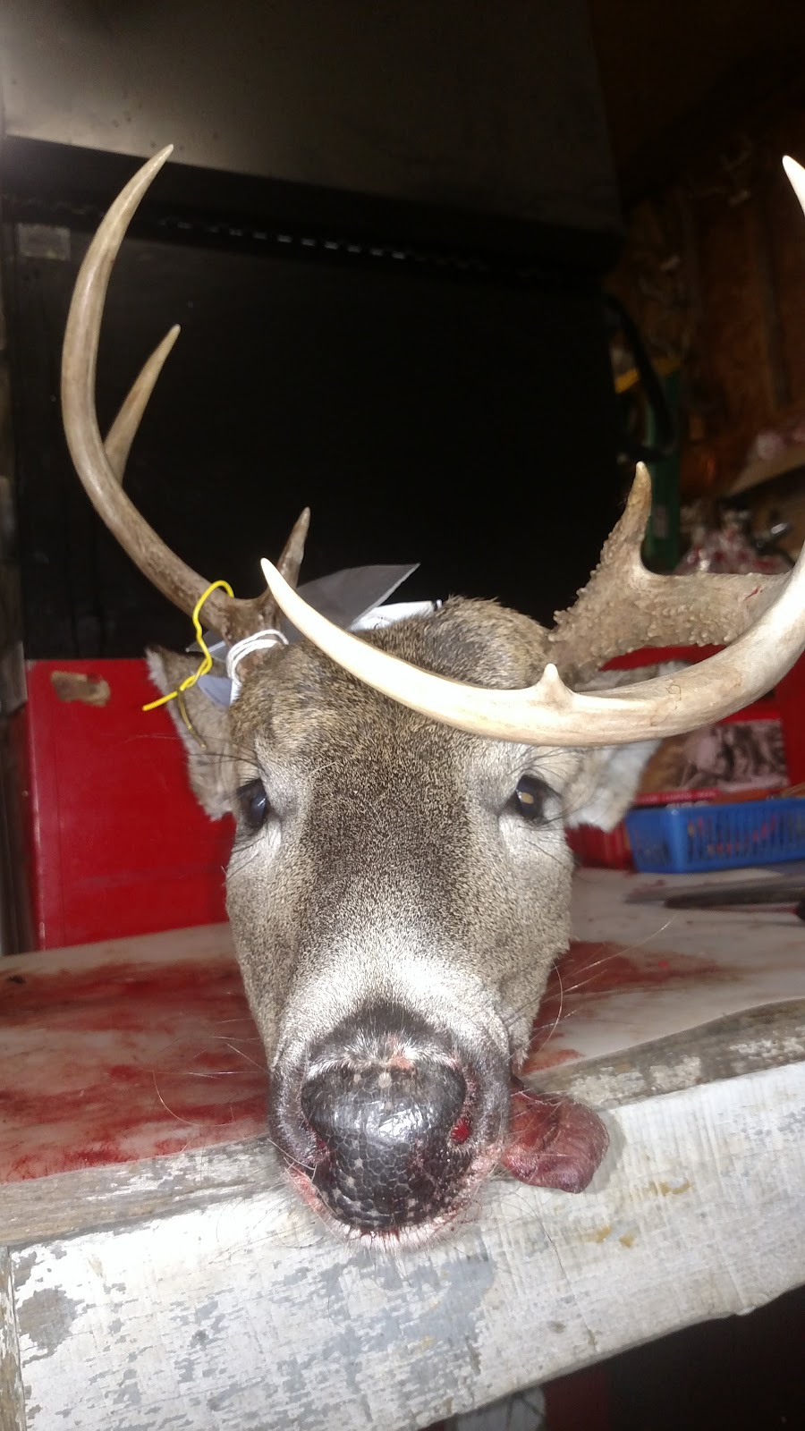 Diamond J Big Game Processing | 2995 317th Ave NE, Cambridge, MN 55008, USA | Phone: (612) 867-4609
