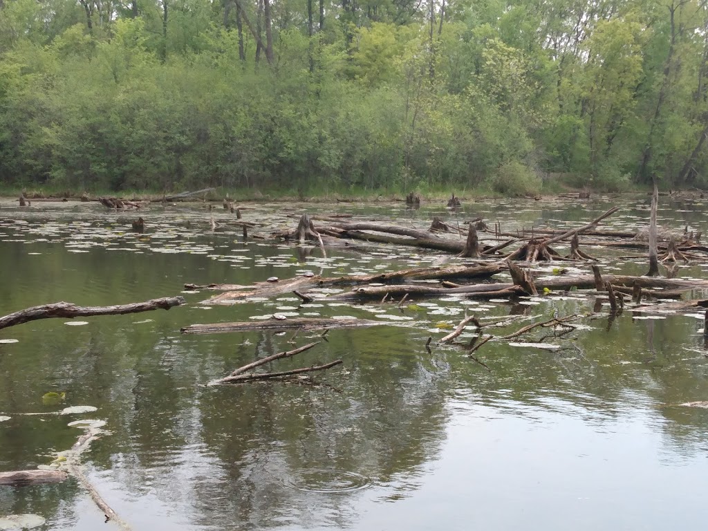 General Mills Research Nature Area | 9145 Earl St, Golden Valley, MN 55427, USA | Phone: (763) 512-2345