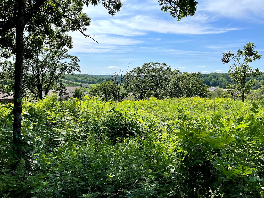 Prairie Ridge Conservation Park | 2406 Berkley Dr, Madison, WI 53719, USA | Phone: (608) 266-4711