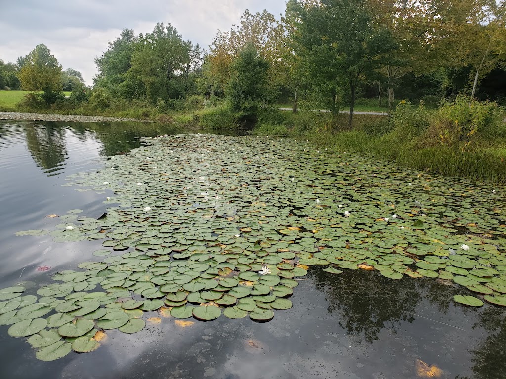 Lake Artemesia Natural Area | 8200 55th Ave, College Park, MD 20740, USA | Phone: (301) 627-7755