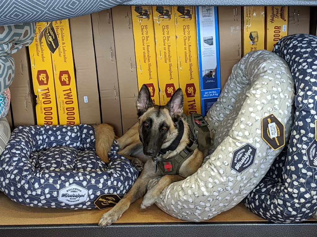 Hollywood Feed | 2170 FM 423 Suite 200, Little Elm, TX 75068, USA | Phone: (469) 535-3905