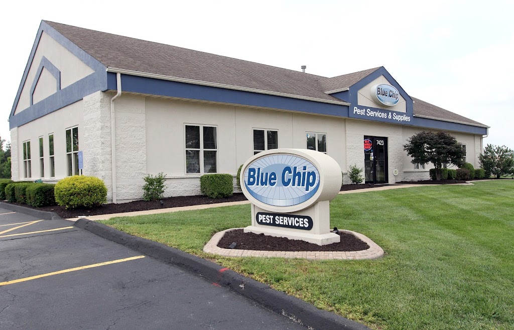 Blue Chip Pest Services | 7423 Mexico Rd, St Peters, MO 63376, USA | Phone: (636) 425-3904
