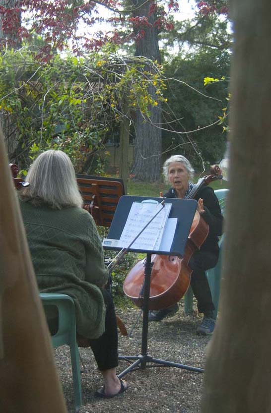 Cello and Singing Lessons | 6439 Grant Ave, Carmichael, CA 95608, USA | Phone: (916) 285-5101