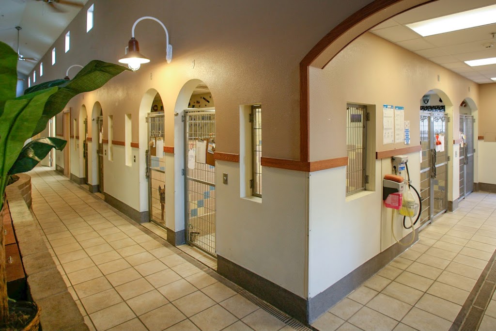 Woodland Veterinary Hospital | 445 Matmor Rd, Woodland, CA 95776, USA | Phone: (530) 666-2461