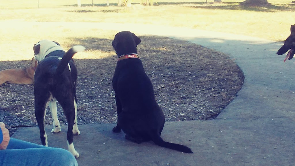 Apollo Beach Dog Park | 664 Golf and Sea Blvd, Apollo Beach, FL 33572, USA | Phone: (813) 671-7635 Apollo Beach Dog Park | 664 Golf and Sea Blvd, Apollo Beach, FL 33572, USA | Phone: (813) 671-7635