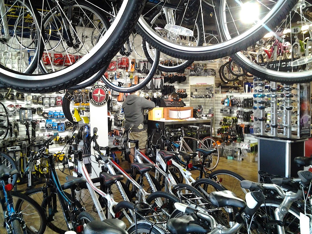 Ballwin Cycles | 15340 Manchester Rd, Ellisville, MO 63011, USA | Phone: (636) 391-2666