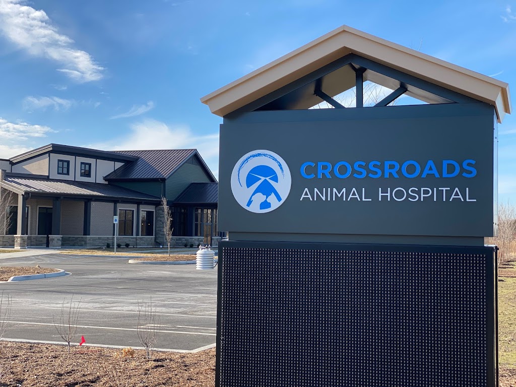 Crossroads Animal Hospital | 5939 W Lincoln Hwy, Crown Point, IN 46307, USA | Phone: (219) 319-0679