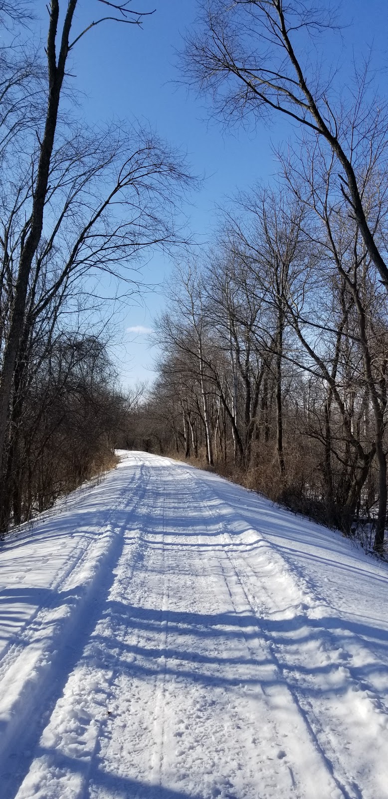 Glacial Drumlin State Trail - West | 1213 S Main St, Lake Mills, WI 53551, USA | Phone: (920) 648-8774