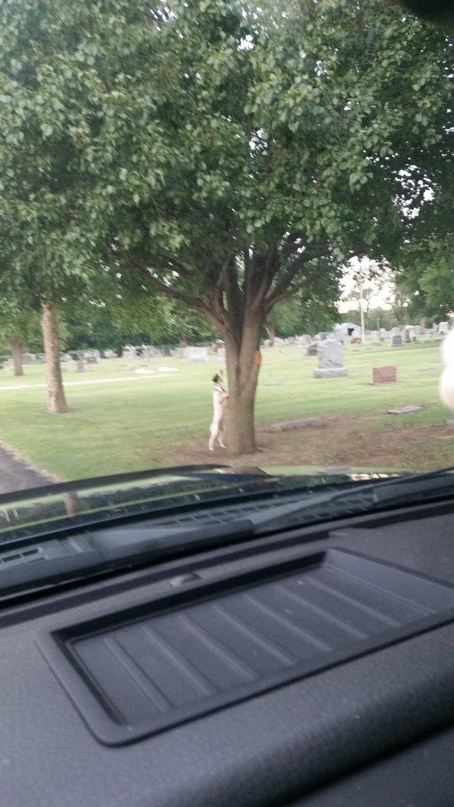 Forest Park Cemetery | Anthony, KS 67003, USA | Phone: (620) 842-5402