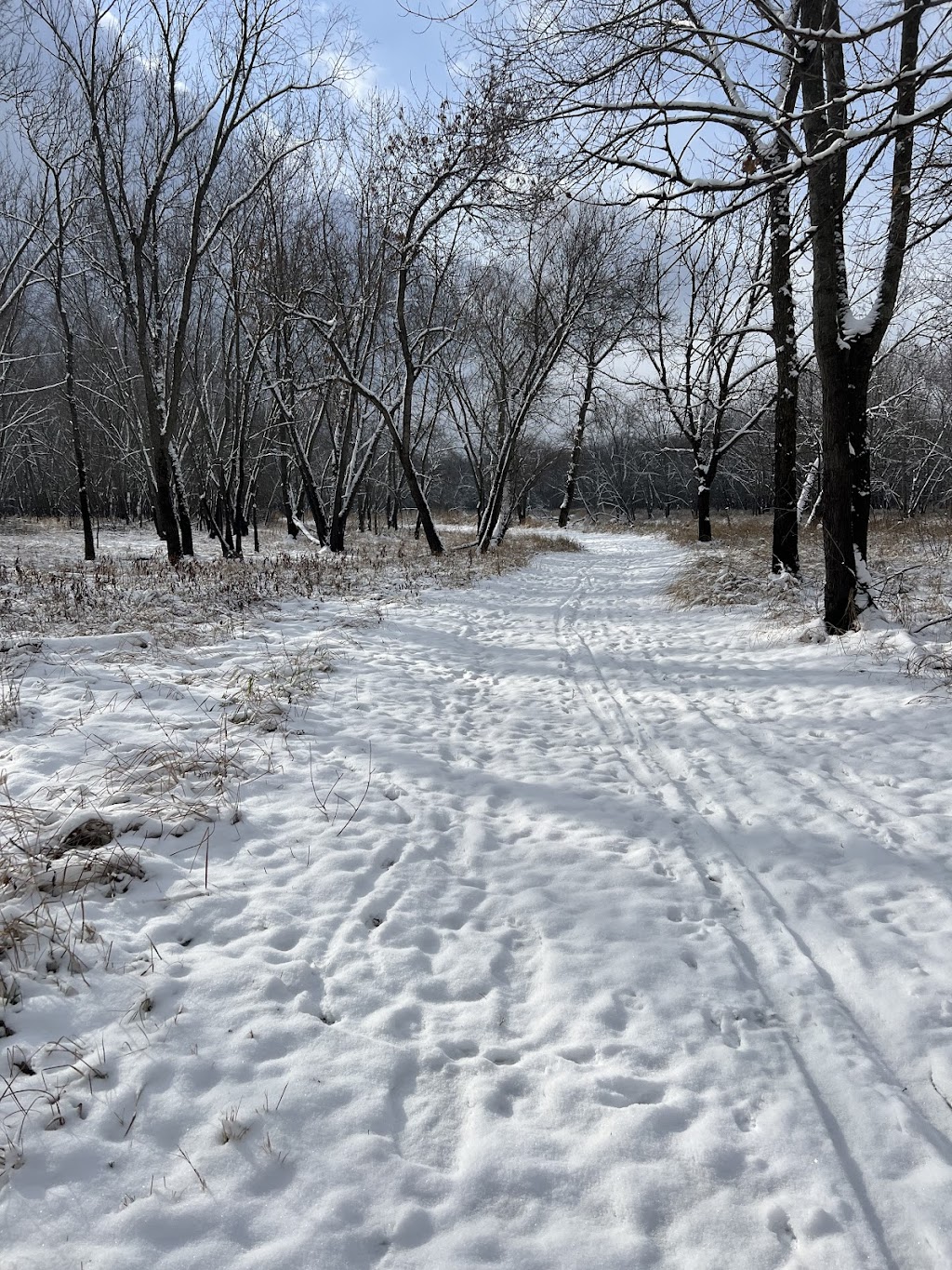 Spirit River Nature Area | 1055 2nd Ave SW, Cambridge, MN 55008, USA | Phone: (763) 689-1800