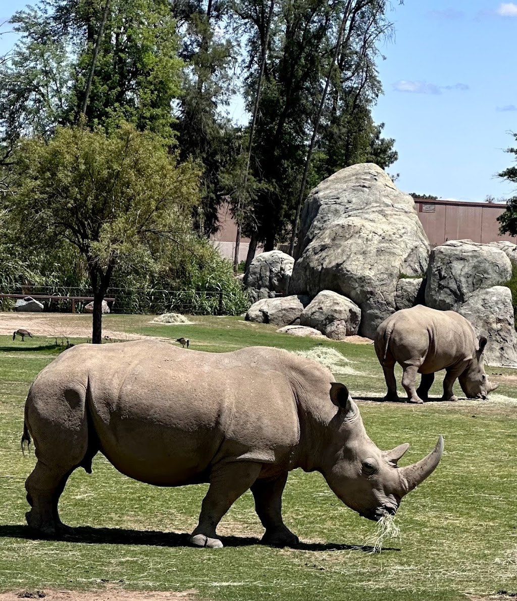 Fresno Chaffee Zoo | 894 W Belmont Ave, Fresno, CA 93728, USA | Phone: (559) 498-5910