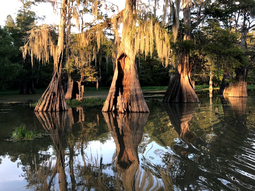 Bayou Sorrel Branch Library | 33415 LA-75, Plaquemine, LA 70764, USA | Phone: (225) 659-7055