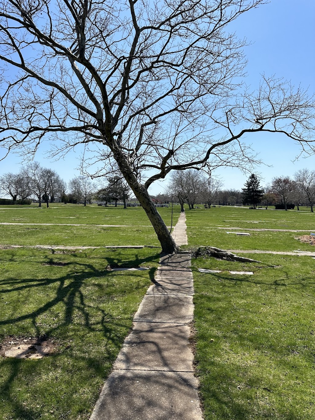 Beth Israel Cemetery | 1098 Woodbridge Center Dr, Woodbridge Township, NJ 07095, USA | Phone: (732) 790-8842