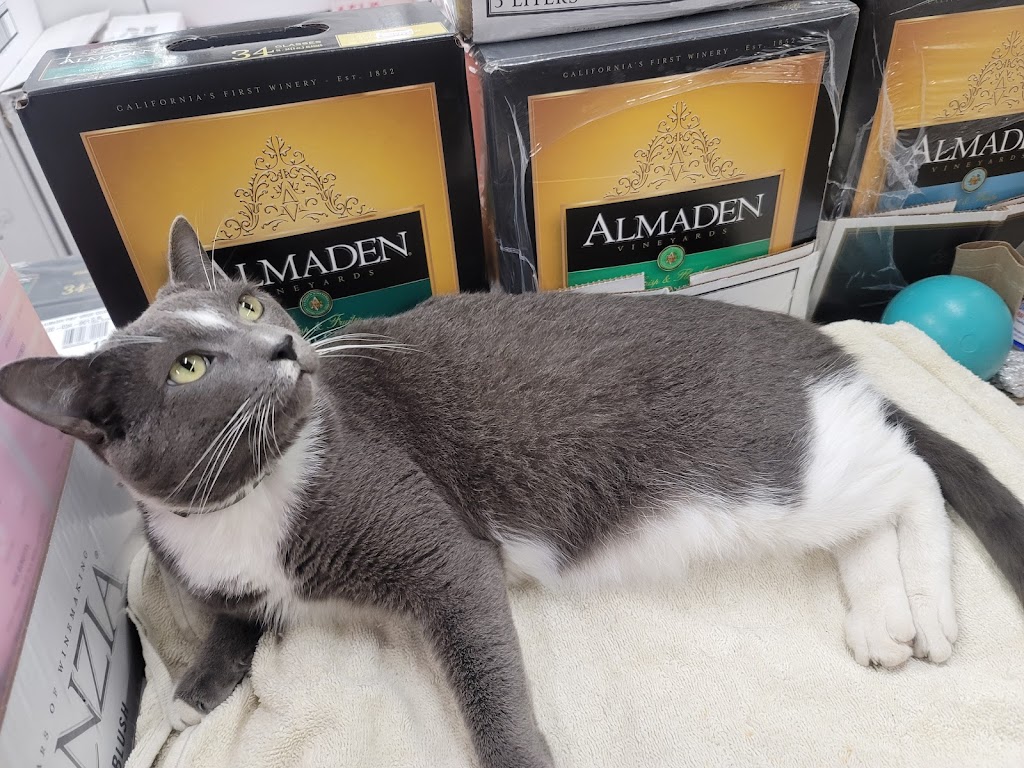 Firehouse Liquors | 14 Park Square, Franklinville, NY 14737, USA | Phone: (716) 676-3211