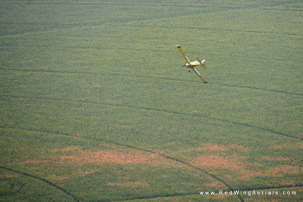 Pro Agri Spraying Services | 4181 FM3261, Ropesville, TX 79358, USA | Phone: (806) 562-4039