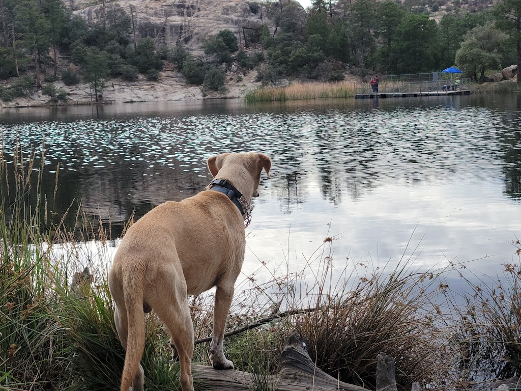 Rose Canyon Lake | Mt Lemmon, AZ 85619, USA | Phone: (520) 576-1477