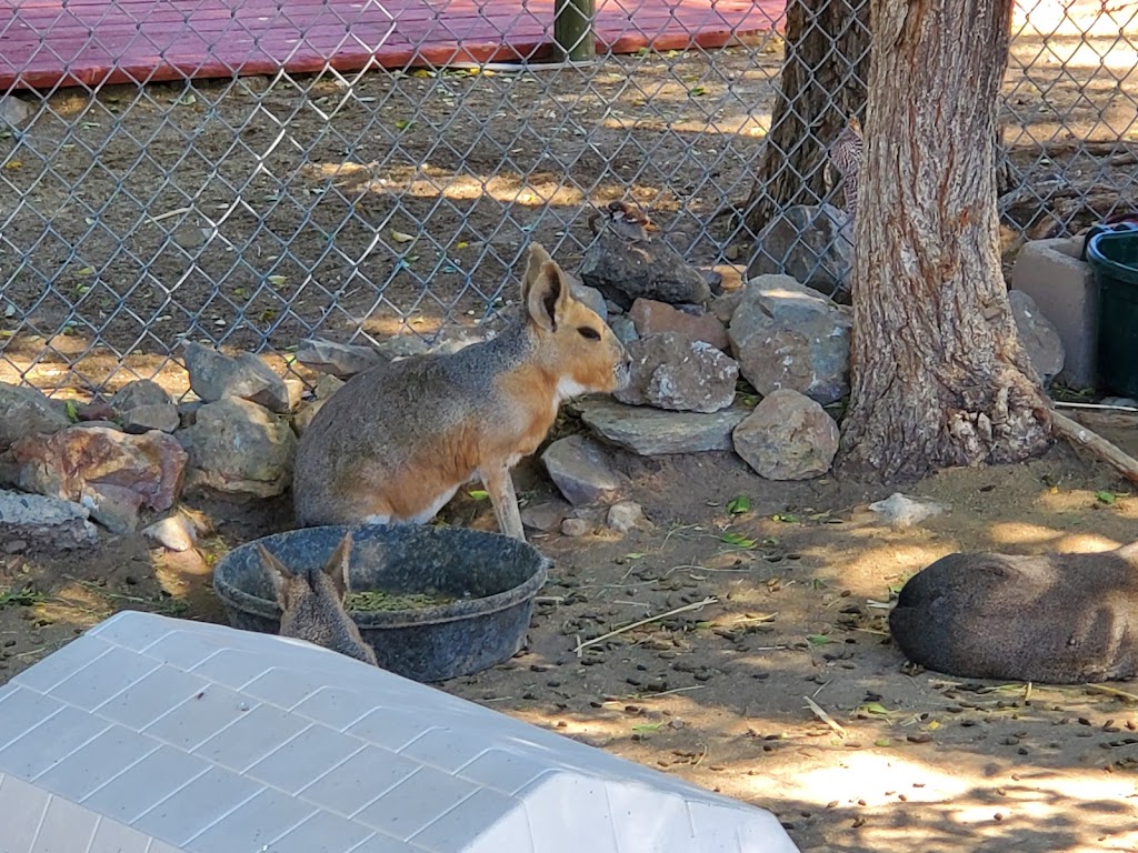 Sierra Nevada Zoological Park | 10200 N Virginia St, Reno, NV 89506, USA | Phone: (775) 677-1101