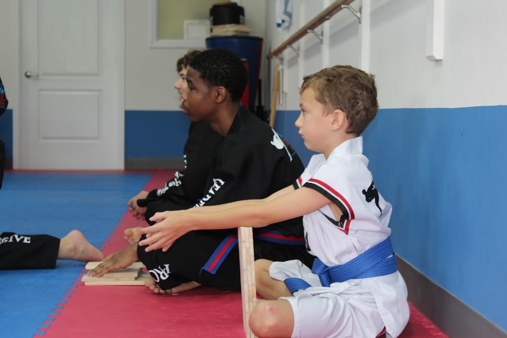 Progressive Taekwondo Academy | 702 Laura Duncan Rd, Apex, NC 27502 | Phone: (919) 589-4200