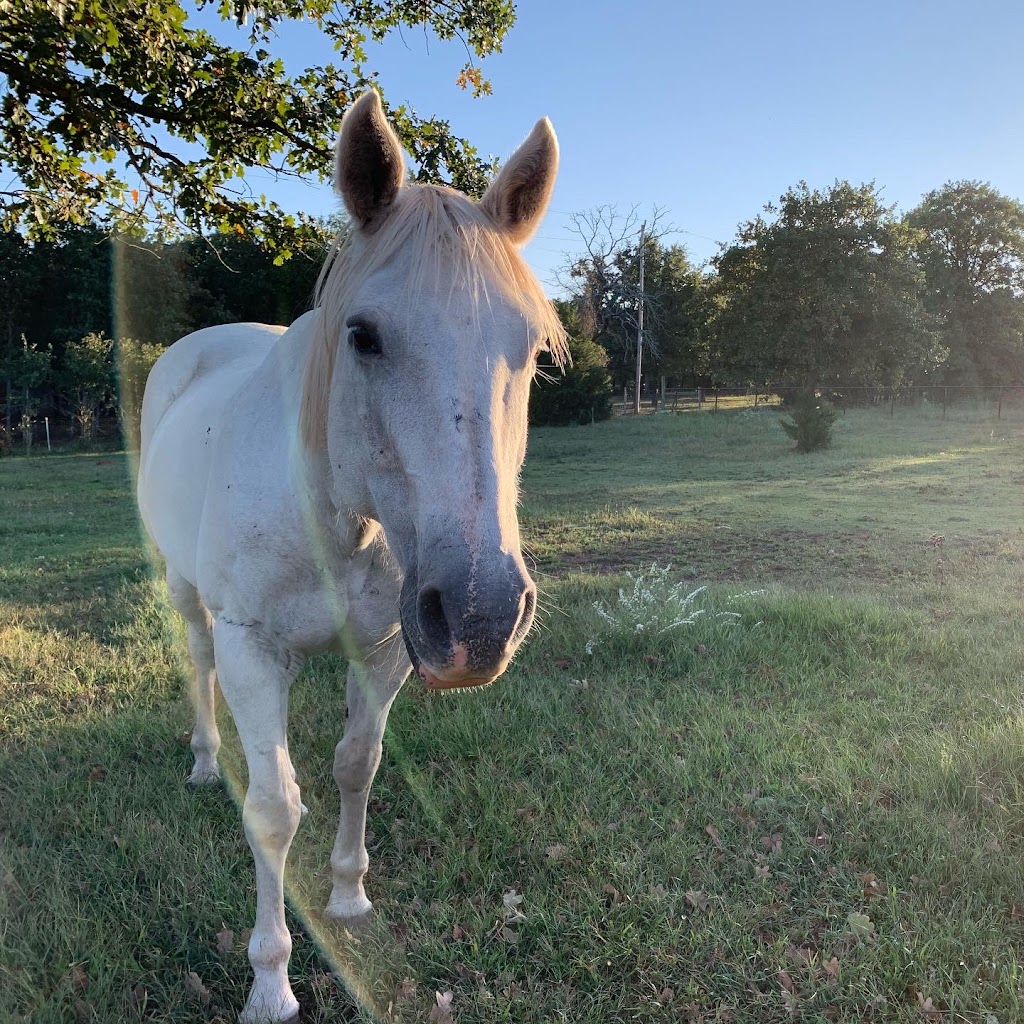 Cairn Ridge Ranch | 21201 N Indian Meridian, Luther, OK 73054, USA | Phone: (405) 532-2066