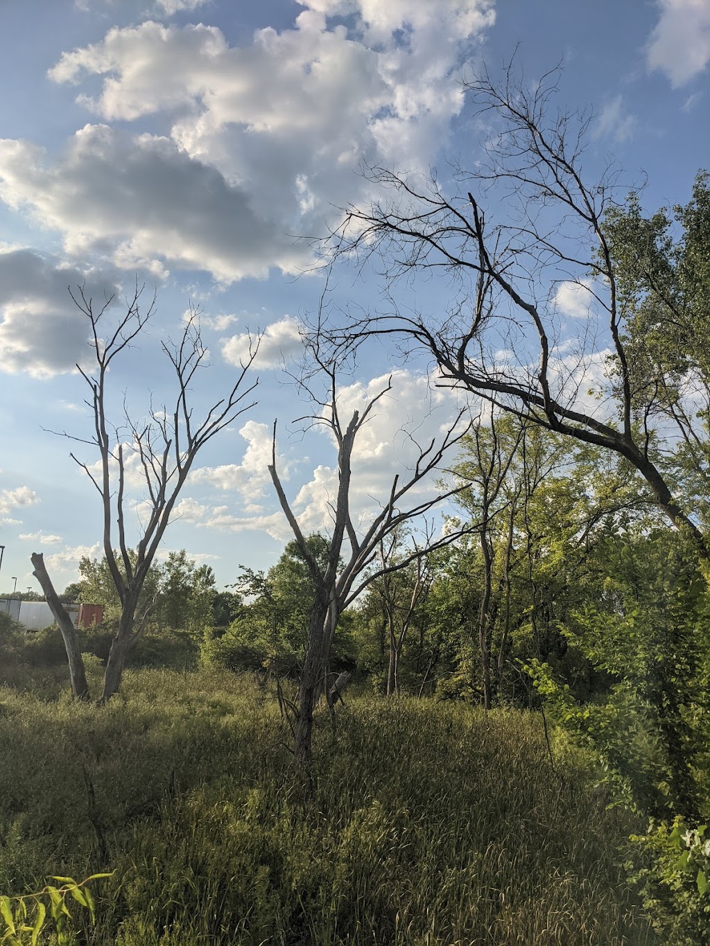 Pine Bend Bluffs Scientific and Natural Area (SNA) | 111th St E, Inver Grove Heights, MN 55077, USA | Phone: (651) 259-5800