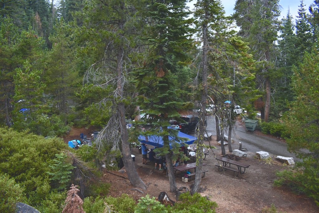 Red Fir | Pollock Pines, CA 95726, USA | Phone: (530) 647-5415