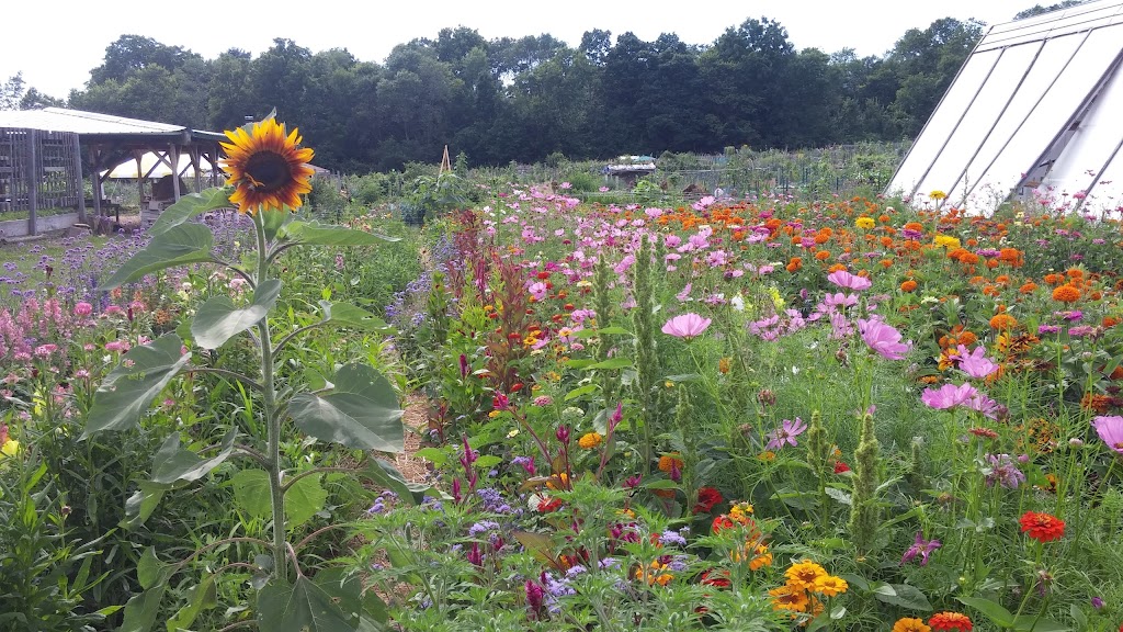 Community GroundWorks Garden | 502 Troy Dr, Madison, WI 53704, USA | Phone: (608) 241-1821