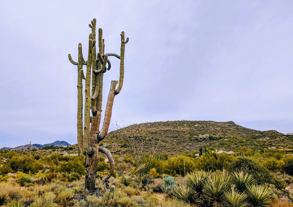 Russ Lyon Sothebys International Realty | 37700 N Desert Mountain Pkwy, Scottsdale, AZ 85262 | Phone: (480) 488-2998