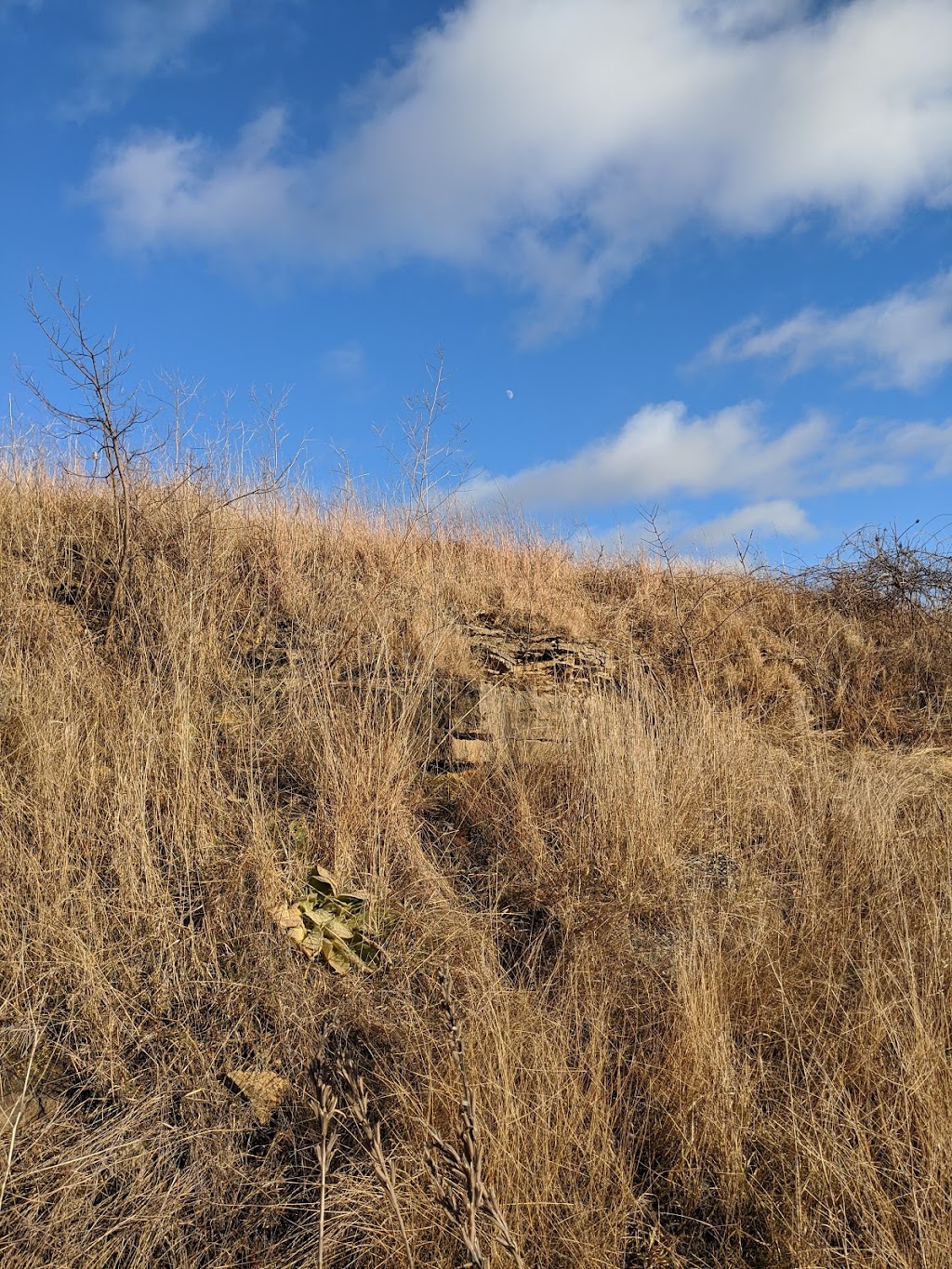 Muralt Bluff Prairie State Natural Area | Monticello, WI 53570, USA | Phone: (608) 266-0394