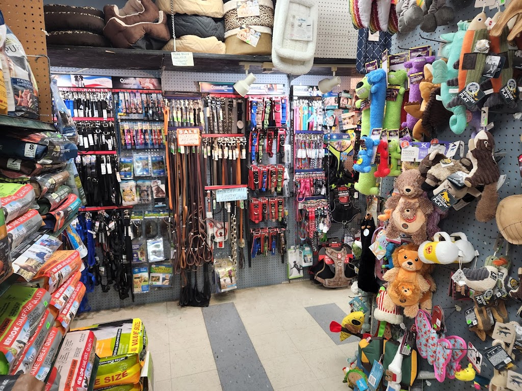 Animal House Pet Shop | 333 Fox St, Lemoore, CA 93245, USA | Phone: (559) 924-9472