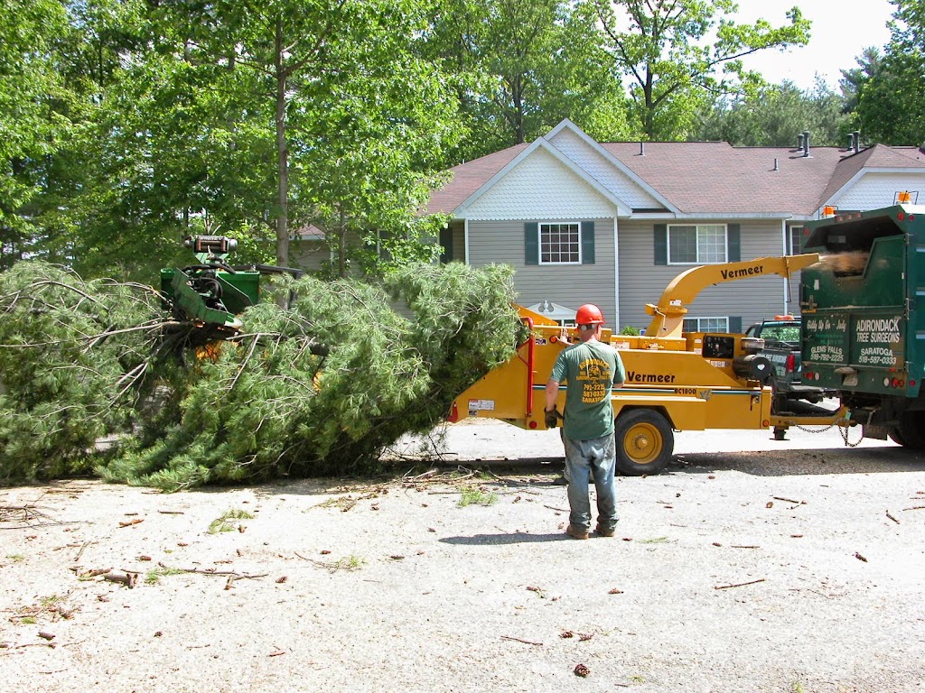 Adirondack Tree Surgeons Inc | 353 Gurn Springs Rd, Gansevoort, NY 12831, USA | Phone: (518) 792-2225