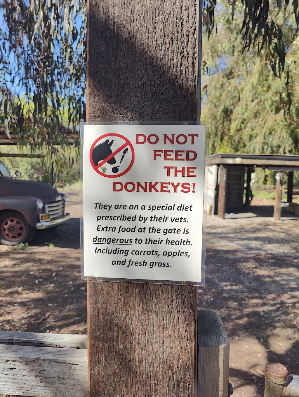 Barron Park Donkeys | 3590 Laguna Ave, Palo Alto, CA 94306, USA | Phone: (650) 464-9426
