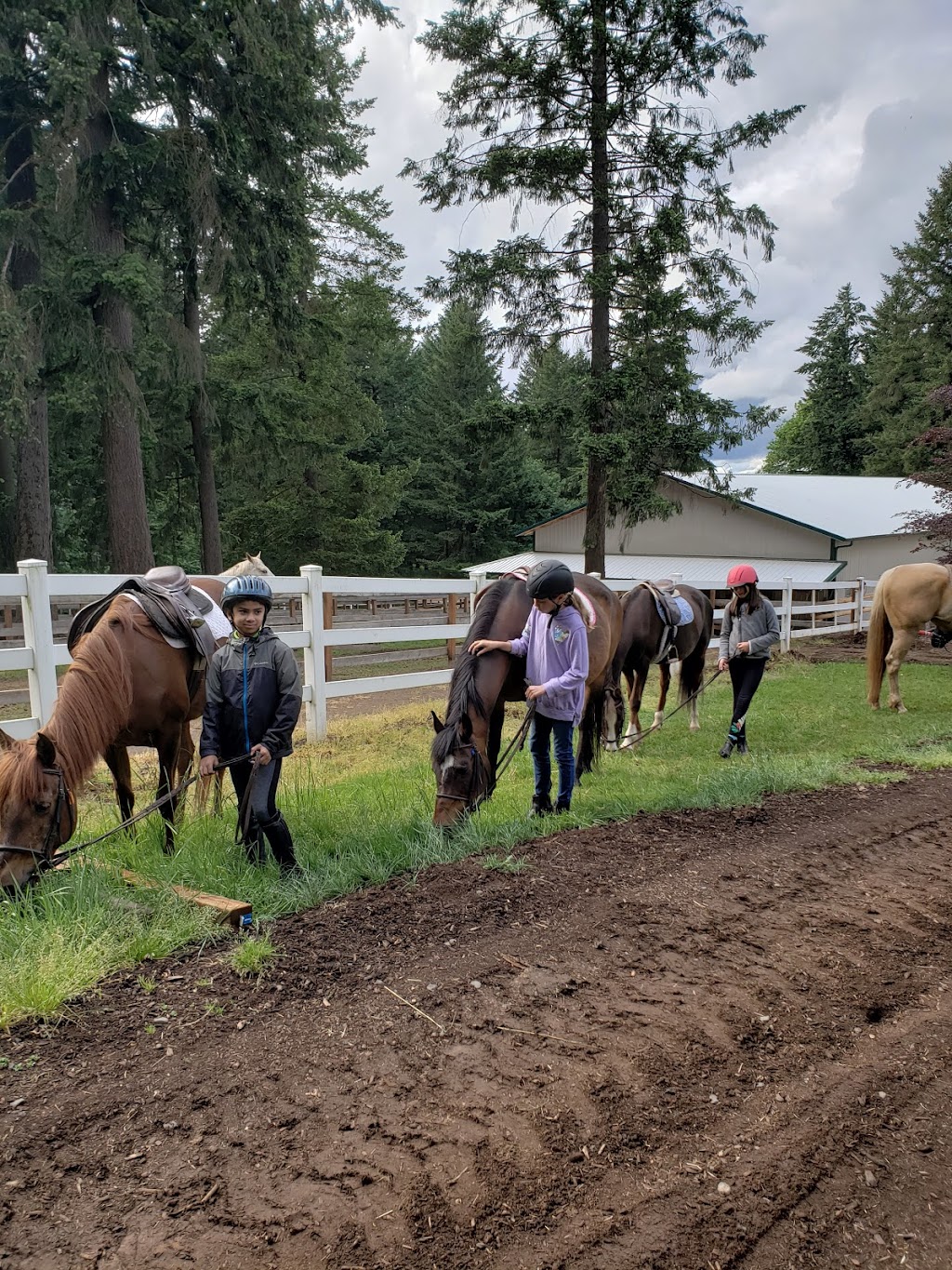 Wilsonville Equestrian Center | 24040 SW 82nd Ave, Tualatin, OR 97062, USA | Phone: (503) 888-6318