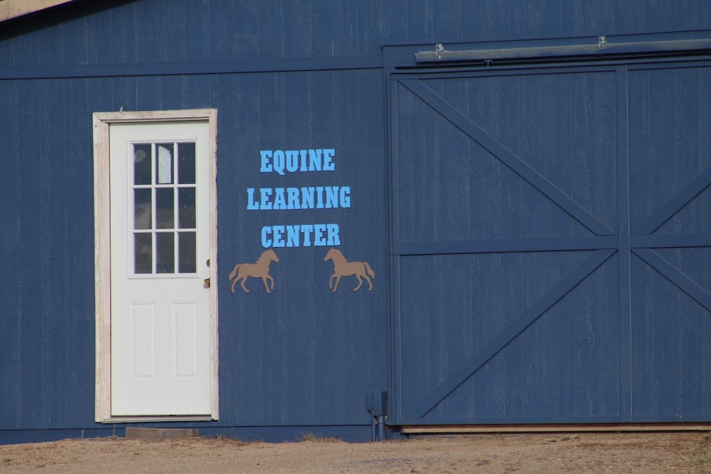 Pro - Counseling & Equine Learning Center | 19609 Blue Springs View, Peyton, CO 80831, USA | Phone: (229) 305-7450