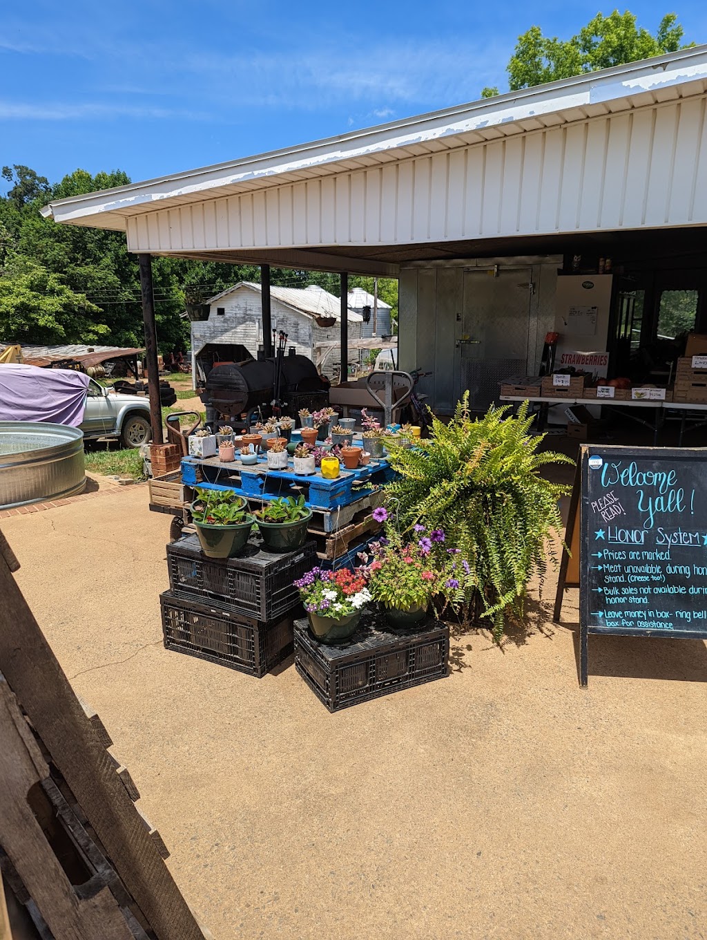 Hunter Farms Family Produce | 6813 US HWY 601 South, Boonville, NC 27011, USA | Phone: (336) 469-6498