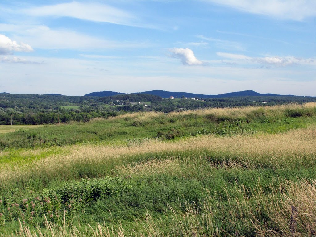 Alfred Z. Solomon Grassland Viewing Area | 160 County Rd 42, Fort Edward, NY 12828, USA | Phone: (518) 499-0012