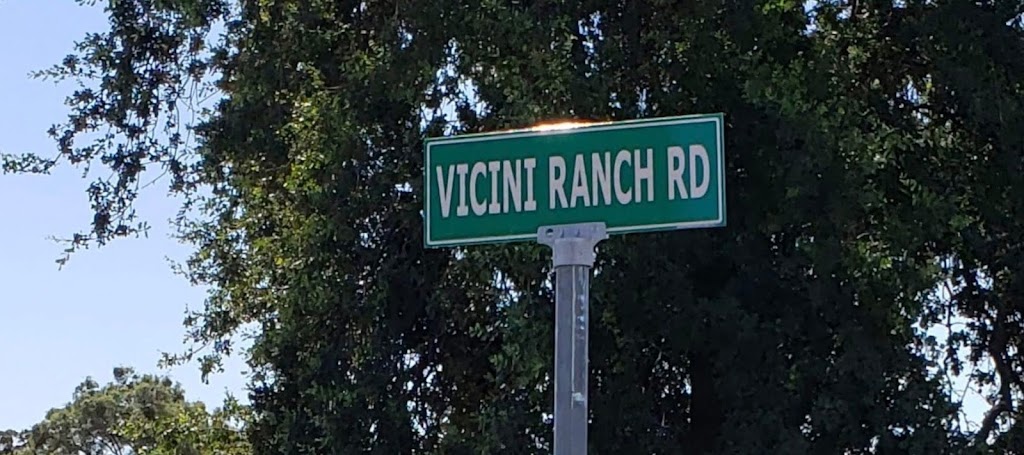 Vicini Brothers LLC | 15850 Willow Creek Rd, Plymouth, CA 95669 | Phone: (209) 245-3850